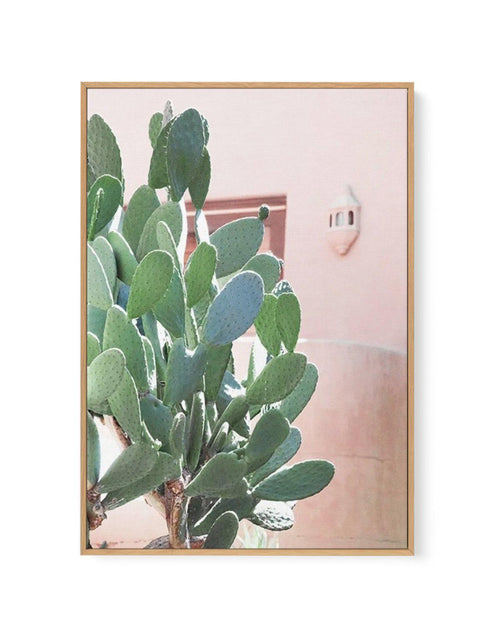 California Cactus I | Framed Canvas-CANVAS-You can shop wall art online with Olive et Oriel for everything from abstract art to fun kids wall art. Our beautiful modern art prints and canvas art are available from large canvas prints to wall art paintings and our proudly Australian artwork collection offers only the highest quality framed large wall art and canvas art Australia - You can buy fashion photography prints or Hampton print posters and paintings on canvas from Olive et Oriel and have t