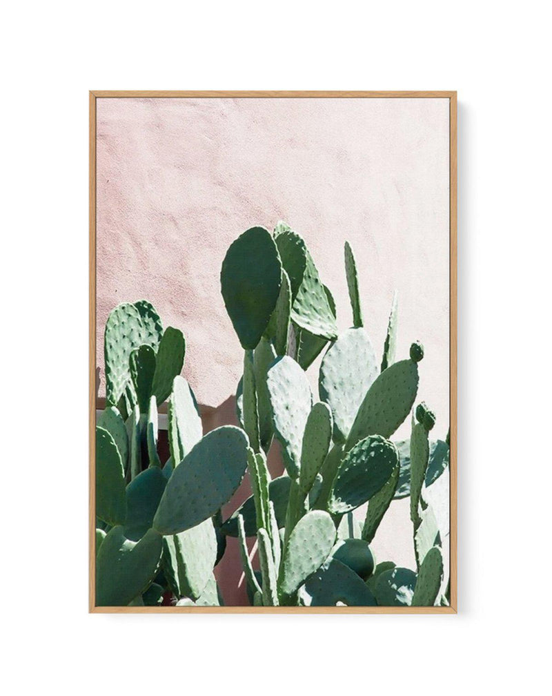 California Cactus II | Framed Canvas-CANVAS-You can shop wall art online with Olive et Oriel for everything from abstract art to fun kids wall art. Our beautiful modern art prints and canvas art are available from large canvas prints to wall art paintings and our proudly Australian artwork collection offers only the highest quality framed large wall art and canvas art Australia - You can buy fashion photography prints or Hampton print posters and paintings on canvas from Olive et Oriel and have 