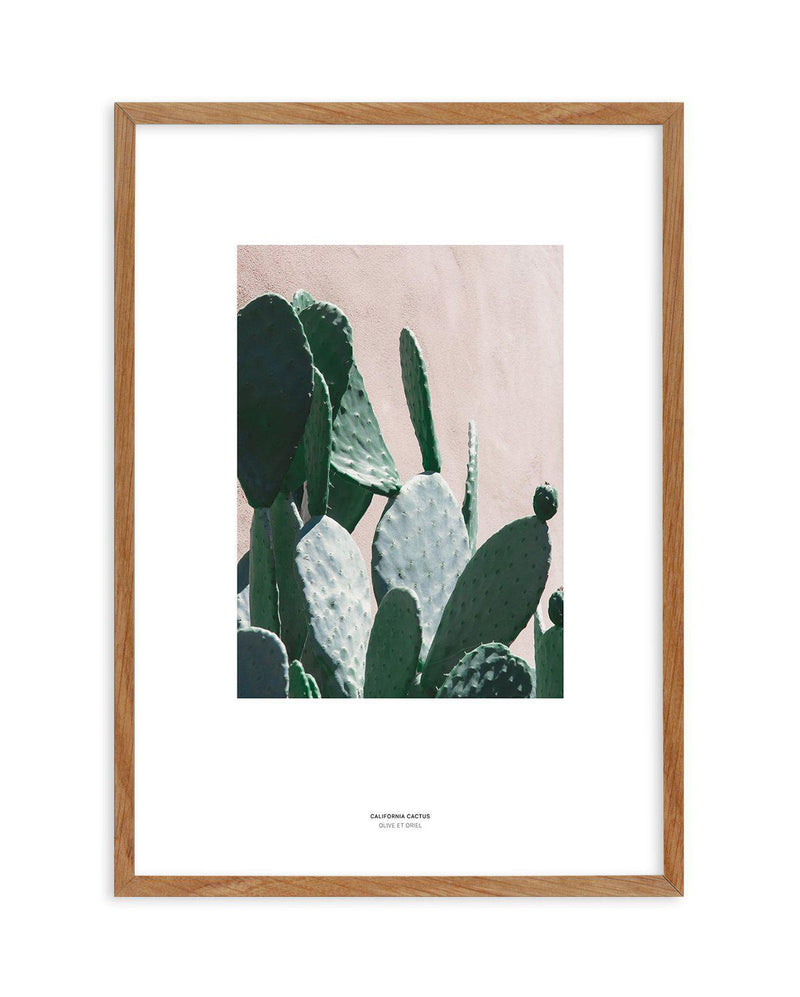 California Cactus III Art Print-PRINT-Olive et Oriel-Olive et Oriel-50x70 cm | 19.6" x 27.5"-Walnut-With White Border-Buy-Australian-Art-Prints-Online-with-Olive-et-Oriel-Your-Artwork-Specialists-Austrailia-Decorate-With-Coastal-Photo-Wall-Art-Prints-From-Our-Beach-House-Artwork-Collection-Fine-Poster-and-Framed-Artwork