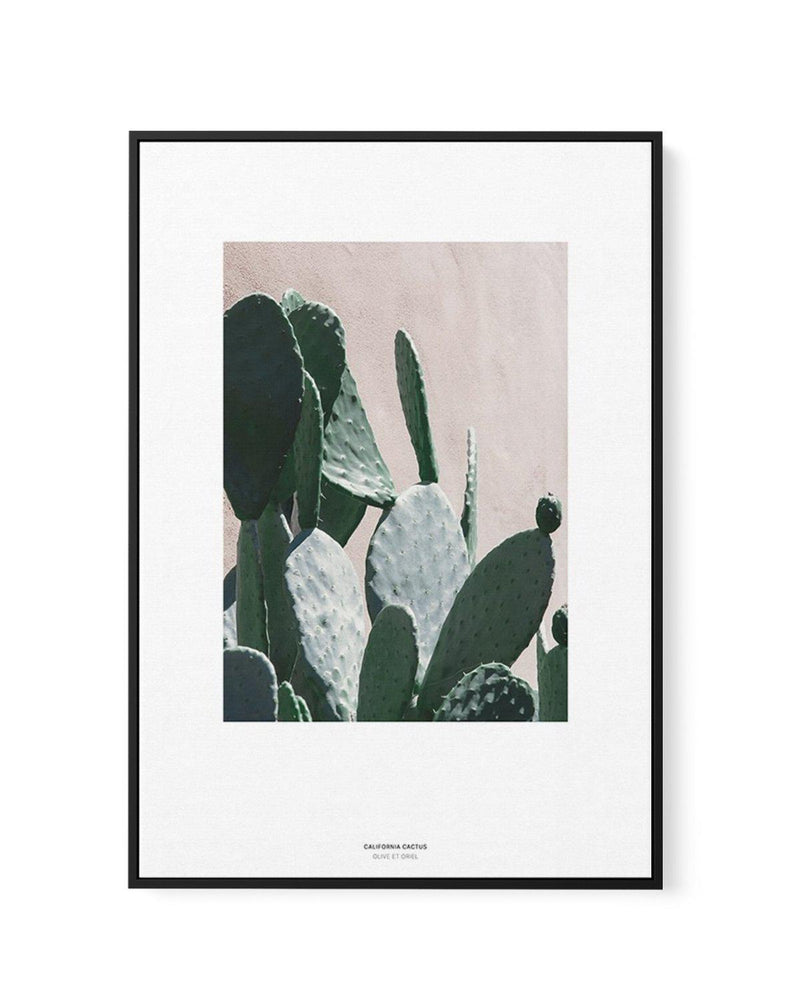 California Cactus III | Framed Canvas-CANVAS-You can shop wall art online with Olive et Oriel for everything from abstract art to fun kids wall art. Our beautiful modern art prints and canvas art are available from large canvas prints to wall art paintings and our proudly Australian artwork collection offers only the highest quality framed large wall art and canvas art Australia - You can buy fashion photography prints or Hampton print posters and paintings on canvas from Olive et Oriel and have