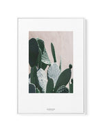 California Cactus III | Framed Canvas-CANVAS-You can shop wall art online with Olive et Oriel for everything from abstract art to fun kids wall art. Our beautiful modern art prints and canvas art are available from large canvas prints to wall art paintings and our proudly Australian artwork collection offers only the highest quality framed large wall art and canvas art Australia - You can buy fashion photography prints or Hampton print posters and paintings on canvas from Olive et Oriel and have