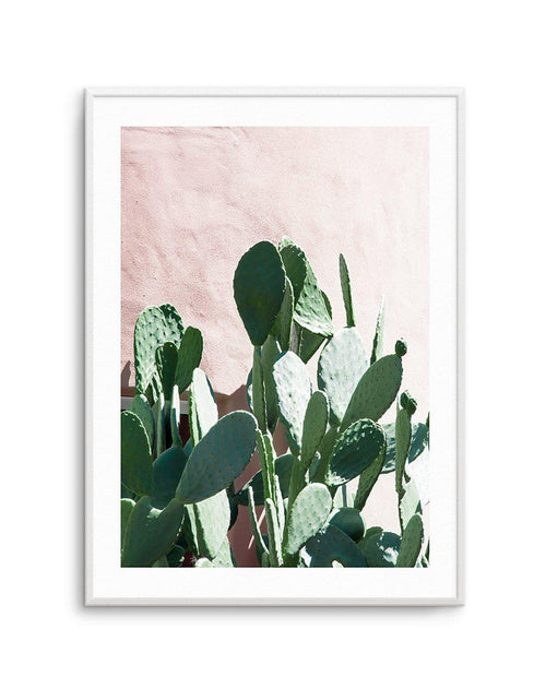 California Cactus II Art Print-PRINT-Olive et Oriel-Olive et Oriel-A5 | 5.8" x 8.3" | 14.8 x 21cm-Unframed Art Print-With White Border-Buy-Australian-Art-Prints-Online-with-Olive-et-Oriel-Your-Artwork-Specialists-Austrailia-Decorate-With-Coastal-Photo-Wall-Art-Prints-From-Our-Beach-House-Artwork-Collection-Fine-Poster-and-Framed-Artwork
