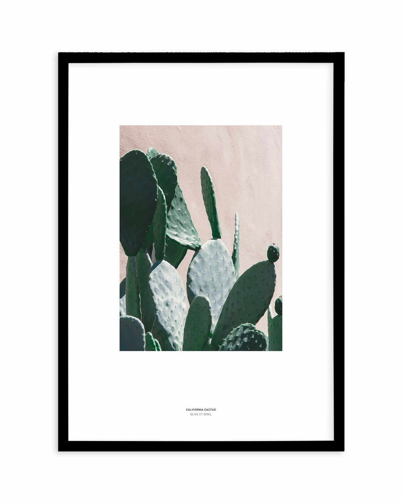 California Cactus III Art Print-PRINT-Olive et Oriel-Olive et Oriel-A5 | 5.8" x 8.3" | 14.8 x 21cm-Black-With White Border-Buy-Australian-Art-Prints-Online-with-Olive-et-Oriel-Your-Artwork-Specialists-Austrailia-Decorate-With-Coastal-Photo-Wall-Art-Prints-From-Our-Beach-House-Artwork-Collection-Fine-Poster-and-Framed-Artwork
