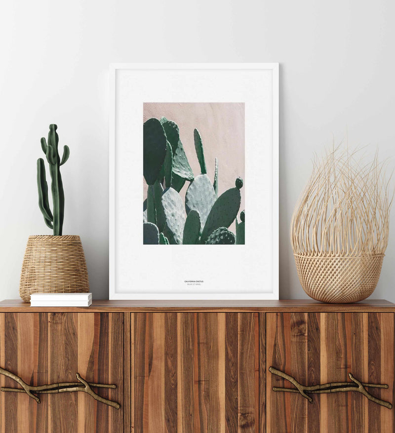 California Cactus | Pink Wall Prickly Pear Photograph | Poster Print ...