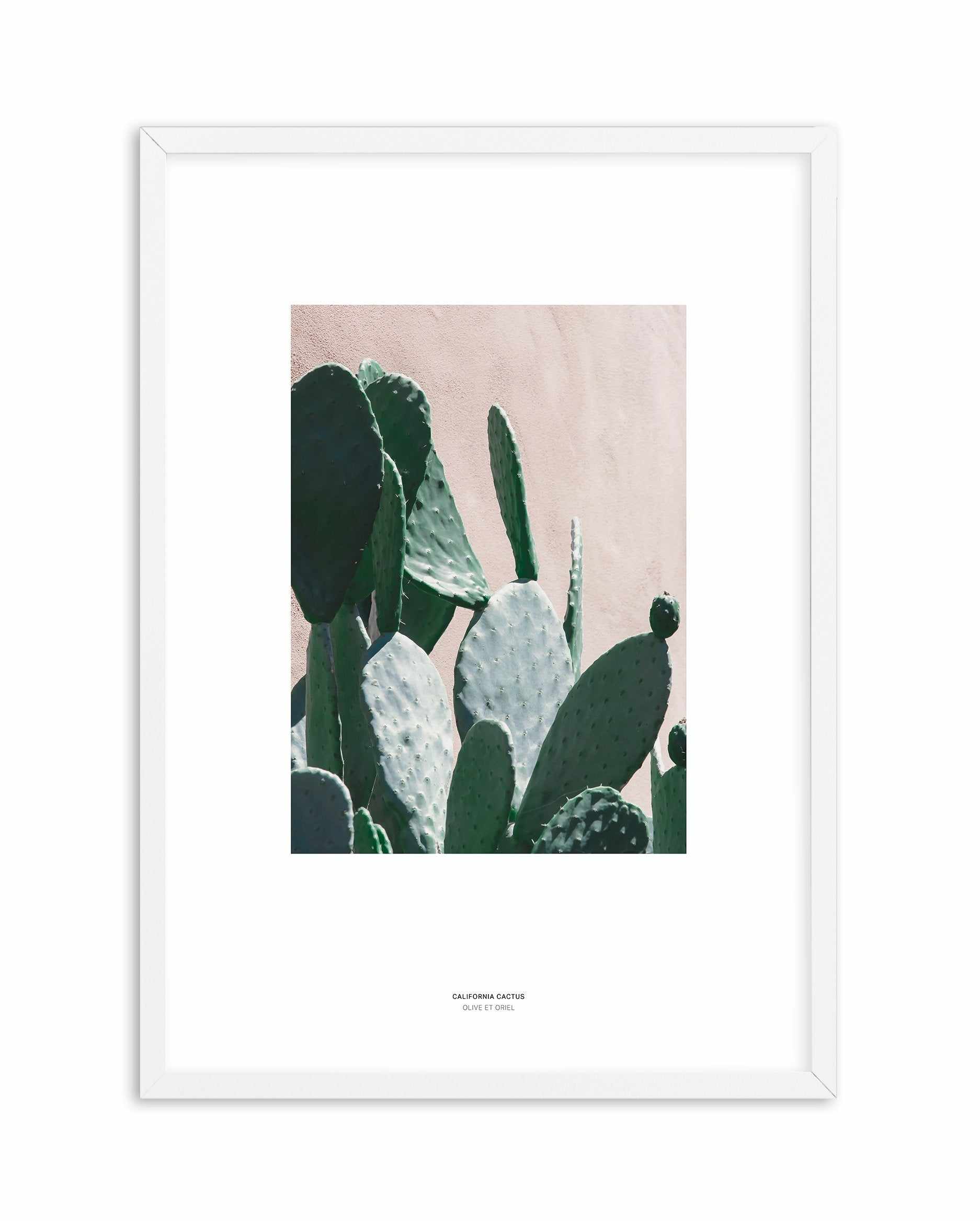 California Cactus III Art Print-PRINT-Olive et Oriel-Olive et Oriel-A5 | 5.8" x 8.3" | 14.8 x 21cm-White-With White Border-Buy-Australian-Art-Prints-Online-with-Olive-et-Oriel-Your-Artwork-Specialists-Austrailia-Decorate-With-Coastal-Photo-Wall-Art-Prints-From-Our-Beach-House-Artwork-Collection-Fine-Poster-and-Framed-Artwork