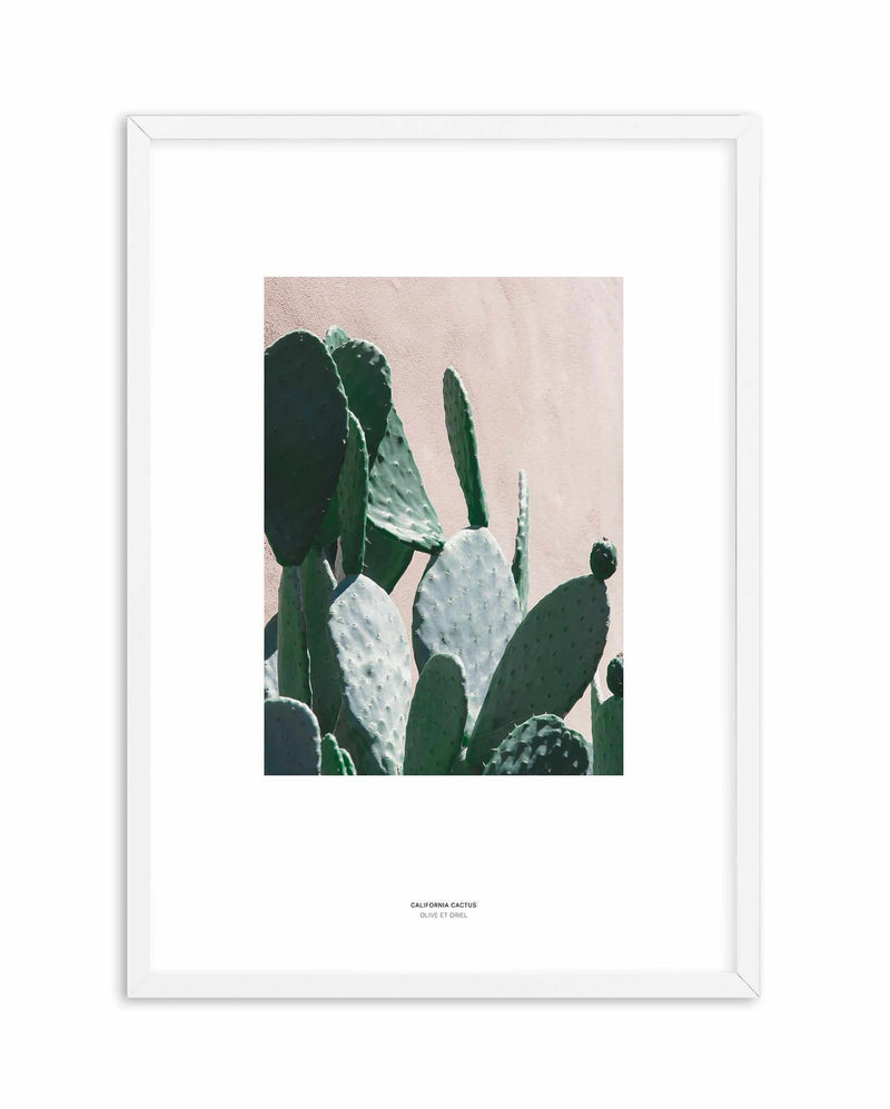 California Cactus III Art Print-PRINT-Olive et Oriel-Olive et Oriel-A5 | 5.8" x 8.3" | 14.8 x 21cm-White-With White Border-Buy-Australian-Art-Prints-Online-with-Olive-et-Oriel-Your-Artwork-Specialists-Austrailia-Decorate-With-Coastal-Photo-Wall-Art-Prints-From-Our-Beach-House-Artwork-Collection-Fine-Poster-and-Framed-Artwork
