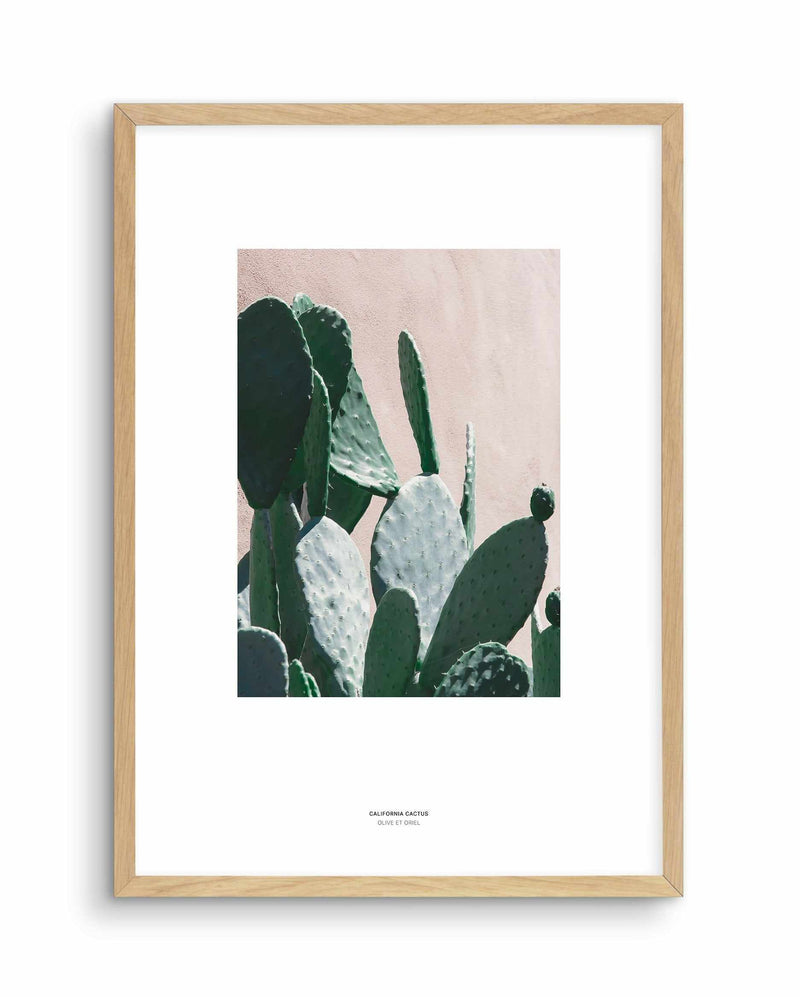 California Cactus III Art Print-PRINT-Olive et Oriel-Olive et Oriel-A5 | 5.8" x 8.3" | 14.8 x 21cm-Oak-With White Border-Buy-Australian-Art-Prints-Online-with-Olive-et-Oriel-Your-Artwork-Specialists-Austrailia-Decorate-With-Coastal-Photo-Wall-Art-Prints-From-Our-Beach-House-Artwork-Collection-Fine-Poster-and-Framed-Artwork