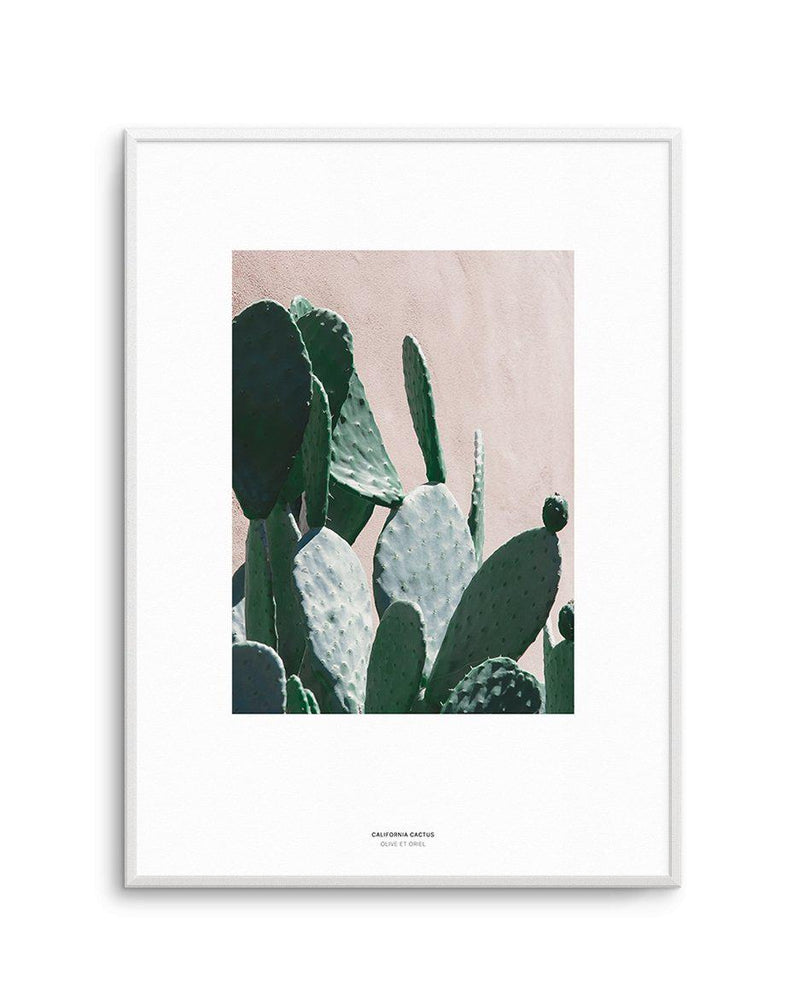 California Cactus III Art Print-PRINT-Olive et Oriel-Olive et Oriel-A5 | 5.8" x 8.3" | 14.8 x 21cm-Unframed Art Print-With White Border-Buy-Australian-Art-Prints-Online-with-Olive-et-Oriel-Your-Artwork-Specialists-Austrailia-Decorate-With-Coastal-Photo-Wall-Art-Prints-From-Our-Beach-House-Artwork-Collection-Fine-Poster-and-Framed-Artwork