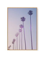 Californian Sunset I | Framed Canvas-CANVAS-You can shop wall art online with Olive et Oriel for everything from abstract art to fun kids wall art. Our beautiful modern art prints and canvas art are available from large canvas prints to wall art paintings and our proudly Australian artwork collection offers only the highest quality framed large wall art and canvas art Australia - You can buy fashion photography prints or Hampton print posters and paintings on canvas from Olive et Oriel and have 