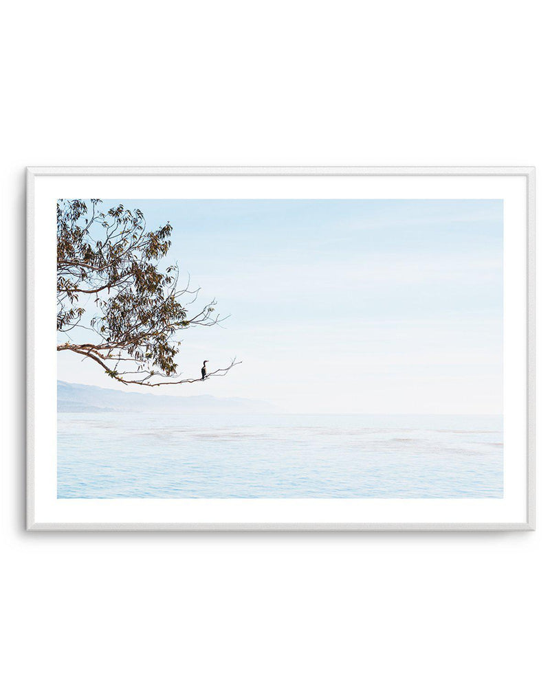 Calm View Art Print-PRINT-Olive et Oriel-Olive et Oriel-A5 | 5.8" x 8.3" | 14.8 x 21cm-Unframed Art Print-With White Border-Buy-Australian-Art-Prints-Online-with-Olive-et-Oriel-Your-Artwork-Specialists-Austrailia-Decorate-With-Coastal-Photo-Wall-Art-Prints-From-Our-Beach-House-Artwork-Collection-Fine-Poster-and-Framed-Artwork