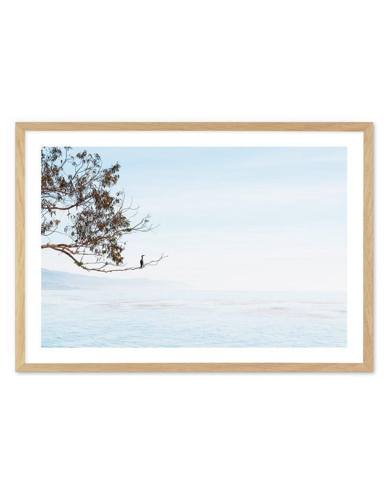 Calm View Art Print-PRINT-Olive et Oriel-Olive et Oriel-A5 | 5.8" x 8.3" | 14.8 x 21cm-Oak-With White Border-Buy-Australian-Art-Prints-Online-with-Olive-et-Oriel-Your-Artwork-Specialists-Austrailia-Decorate-With-Coastal-Photo-Wall-Art-Prints-From-Our-Beach-House-Artwork-Collection-Fine-Poster-and-Framed-Artwork