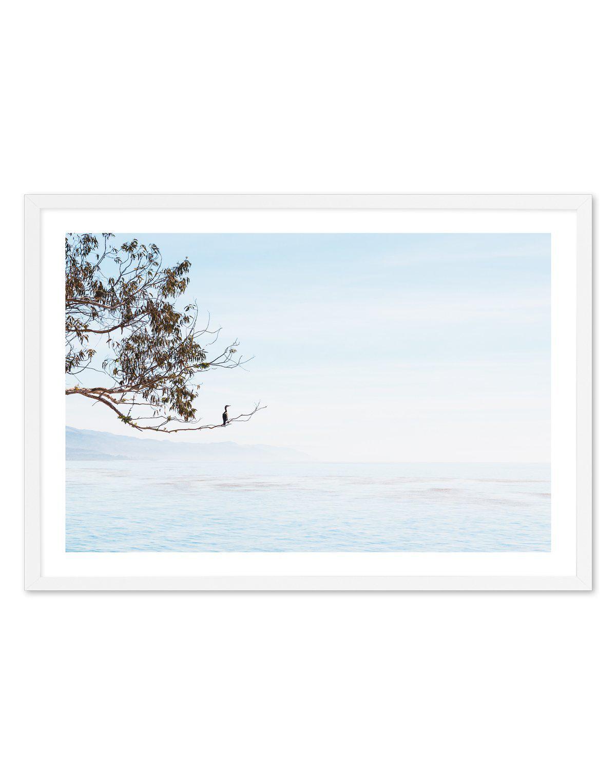 Calm View Art Print-PRINT-Olive et Oriel-Olive et Oriel-A5 | 5.8" x 8.3" | 14.8 x 21cm-White-With White Border-Buy-Australian-Art-Prints-Online-with-Olive-et-Oriel-Your-Artwork-Specialists-Austrailia-Decorate-With-Coastal-Photo-Wall-Art-Prints-From-Our-Beach-House-Artwork-Collection-Fine-Poster-and-Framed-Artwork