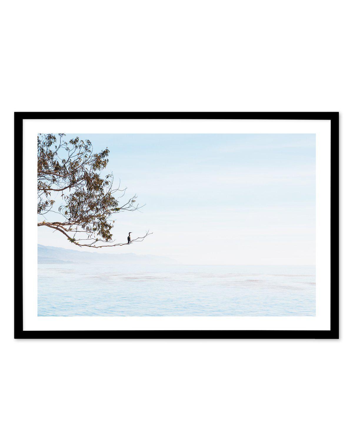 Calm View Art Print-PRINT-Olive et Oriel-Olive et Oriel-A5 | 5.8" x 8.3" | 14.8 x 21cm-Black-With White Border-Buy-Australian-Art-Prints-Online-with-Olive-et-Oriel-Your-Artwork-Specialists-Austrailia-Decorate-With-Coastal-Photo-Wall-Art-Prints-From-Our-Beach-House-Artwork-Collection-Fine-Poster-and-Framed-Artwork