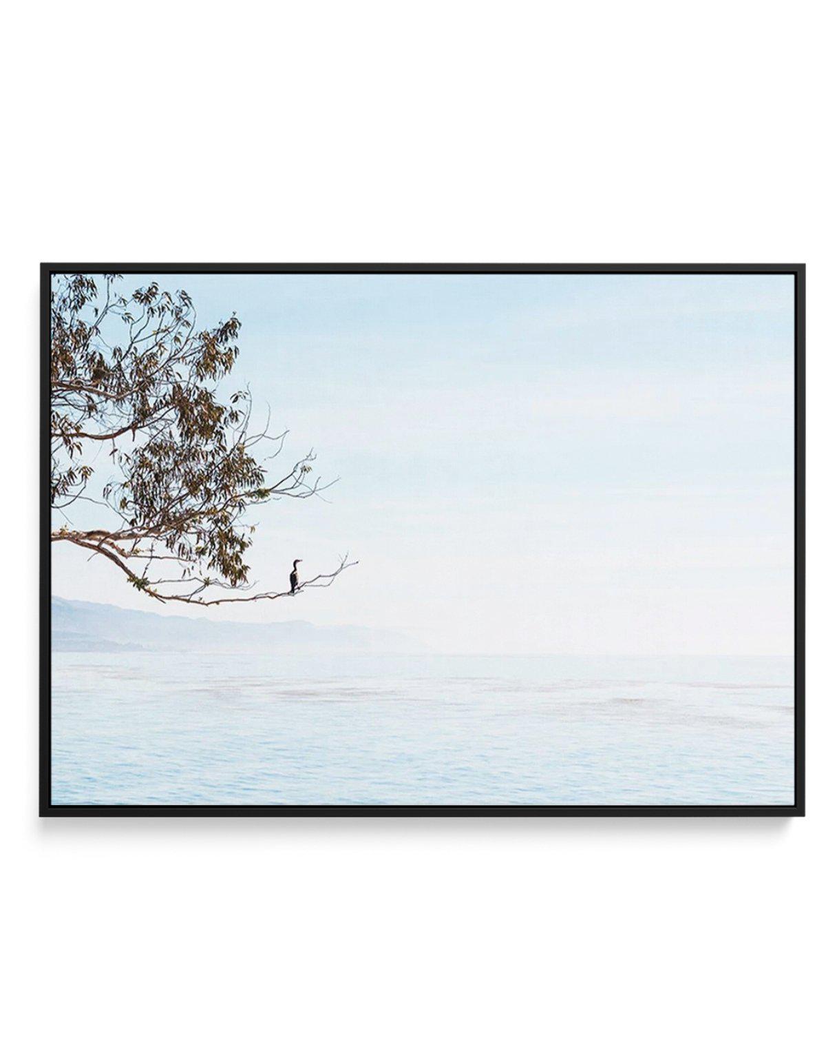 Calm View | Framed Canvas-CANVAS-You can shop wall art online with Olive et Oriel for everything from abstract art to fun kids wall art. Our beautiful modern art prints and canvas art are available from large canvas prints to wall art paintings and our proudly Australian artwork collection offers only the highest quality framed large wall art and canvas art Australia - You can buy fashion photography prints or Hampton print posters and paintings on canvas from Olive et Oriel and have them delive