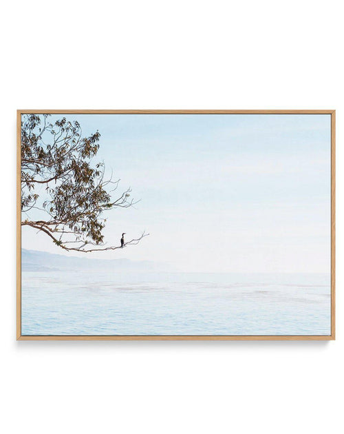 Calm View | Framed Canvas-CANVAS-You can shop wall art online with Olive et Oriel for everything from abstract art to fun kids wall art. Our beautiful modern art prints and canvas art are available from large canvas prints to wall art paintings and our proudly Australian artwork collection offers only the highest quality framed large wall art and canvas art Australia - You can buy fashion photography prints or Hampton print posters and paintings on canvas from Olive et Oriel and have them delive