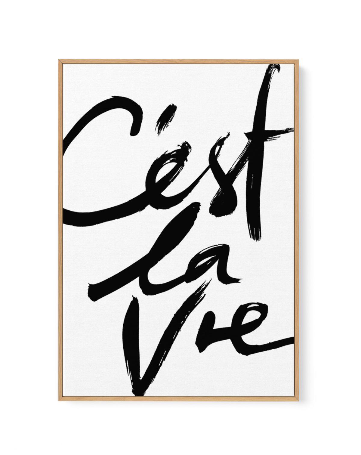 C'est La Vie II | Framed Canvas-CANVAS-You can shop wall art online with Olive et Oriel for everything from abstract art to fun kids wall art. Our beautiful modern art prints and canvas art are available from large canvas prints to wall art paintings and our proudly Australian artwork collection offers only the highest quality framed large wall art and canvas art Australia - You can buy fashion photography prints or Hampton print posters and paintings on canvas from Olive et Oriel and have them 