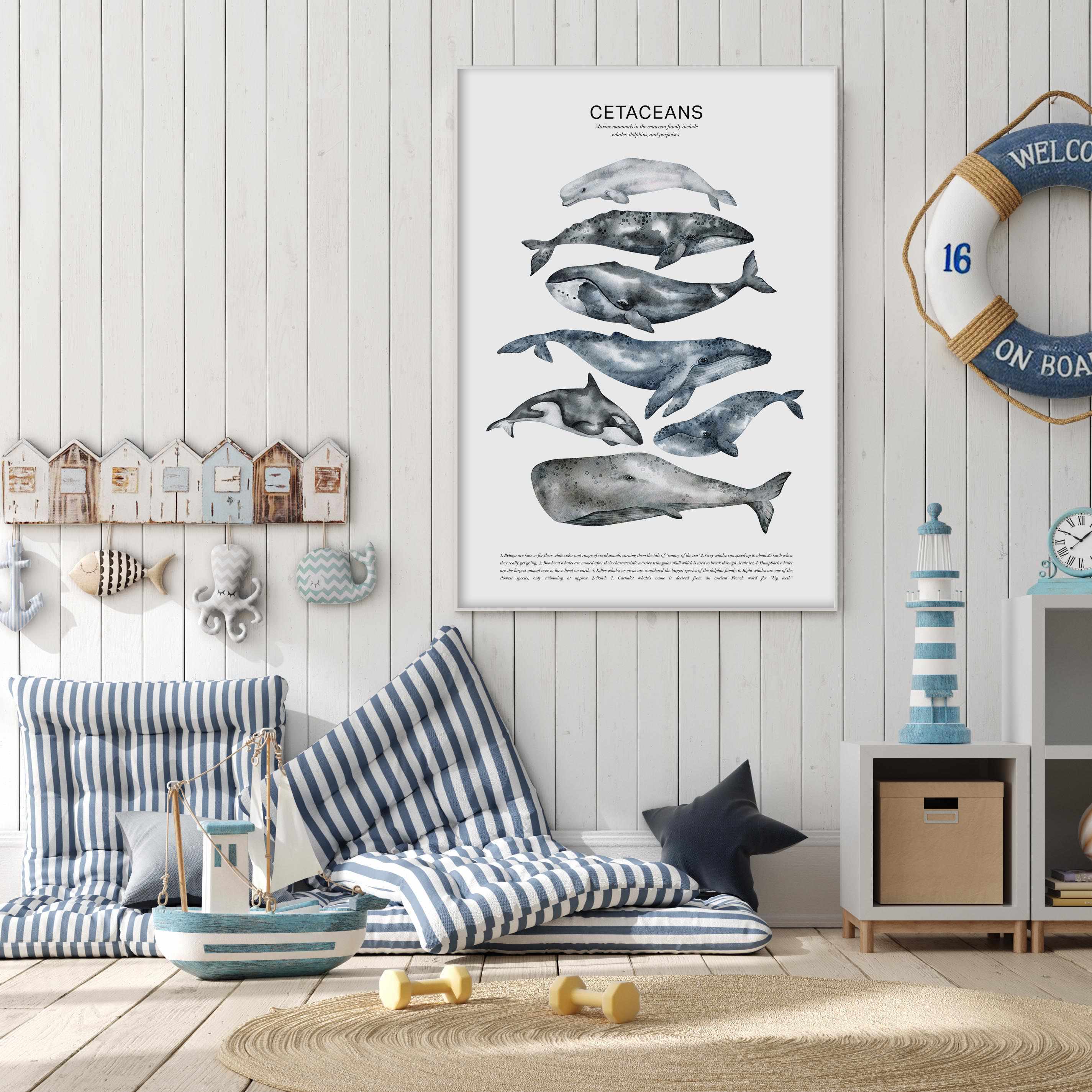 Cetaceans Chart Art Print-PRINT-Olive et Oriel-Olive et Oriel-Buy-Australian-Art-Prints-Online-with-Olive-et-Oriel-Your-Artwork-Specialists-Austrailia-Decorate-With-Coastal-Photo-Wall-Art-Prints-From-Our-Beach-House-Artwork-Collection-Fine-Poster-and-Framed-Artwork