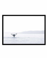 Whale Song Art Print-PRINT-Olive et Oriel-Olive et Oriel-A5 | 5.8" x 8.3" | 14.8 x 21cm-Black-With White Border-Buy-Australian-Art-Prints-Online-with-Olive-et-Oriel-Your-Artwork-Specialists-Austrailia-Decorate-With-Coastal-Photo-Wall-Art-Prints-From-Our-Beach-House-Artwork-Collection-Fine-Poster-and-Framed-Artwork