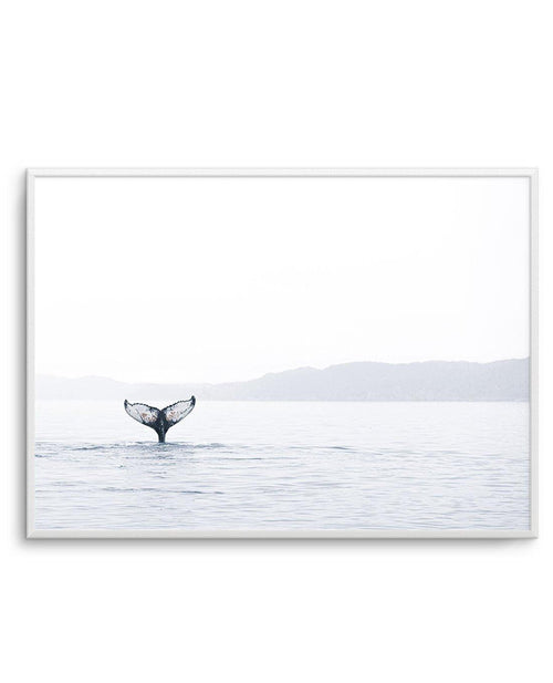 Whale Song Art Print-PRINT-Olive et Oriel-Olive et Oriel-A5 | 5.8" x 8.3" | 14.8 x 21cm-Unframed Art Print-With White Border-Buy-Australian-Art-Prints-Online-with-Olive-et-Oriel-Your-Artwork-Specialists-Austrailia-Decorate-With-Coastal-Photo-Wall-Art-Prints-From-Our-Beach-House-Artwork-Collection-Fine-Poster-and-Framed-Artwork