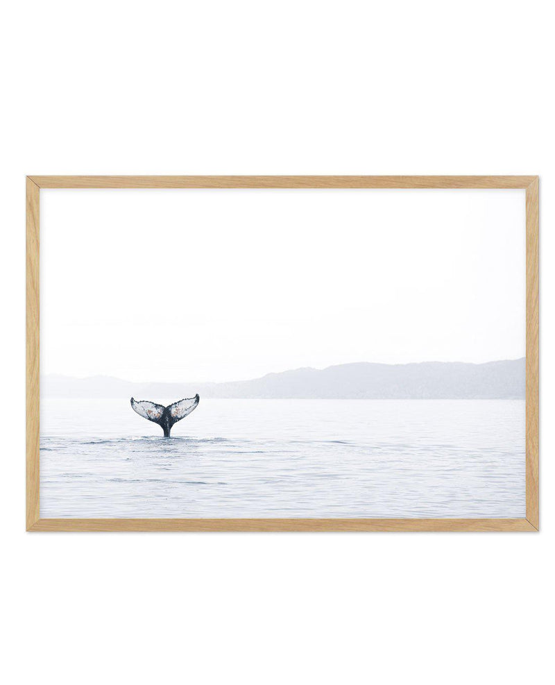 Whale Song Art Print-PRINT-Olive et Oriel-Olive et Oriel-A5 | 5.8" x 8.3" | 14.8 x 21cm-Oak-With White Border-Buy-Australian-Art-Prints-Online-with-Olive-et-Oriel-Your-Artwork-Specialists-Austrailia-Decorate-With-Coastal-Photo-Wall-Art-Prints-From-Our-Beach-House-Artwork-Collection-Fine-Poster-and-Framed-Artwork