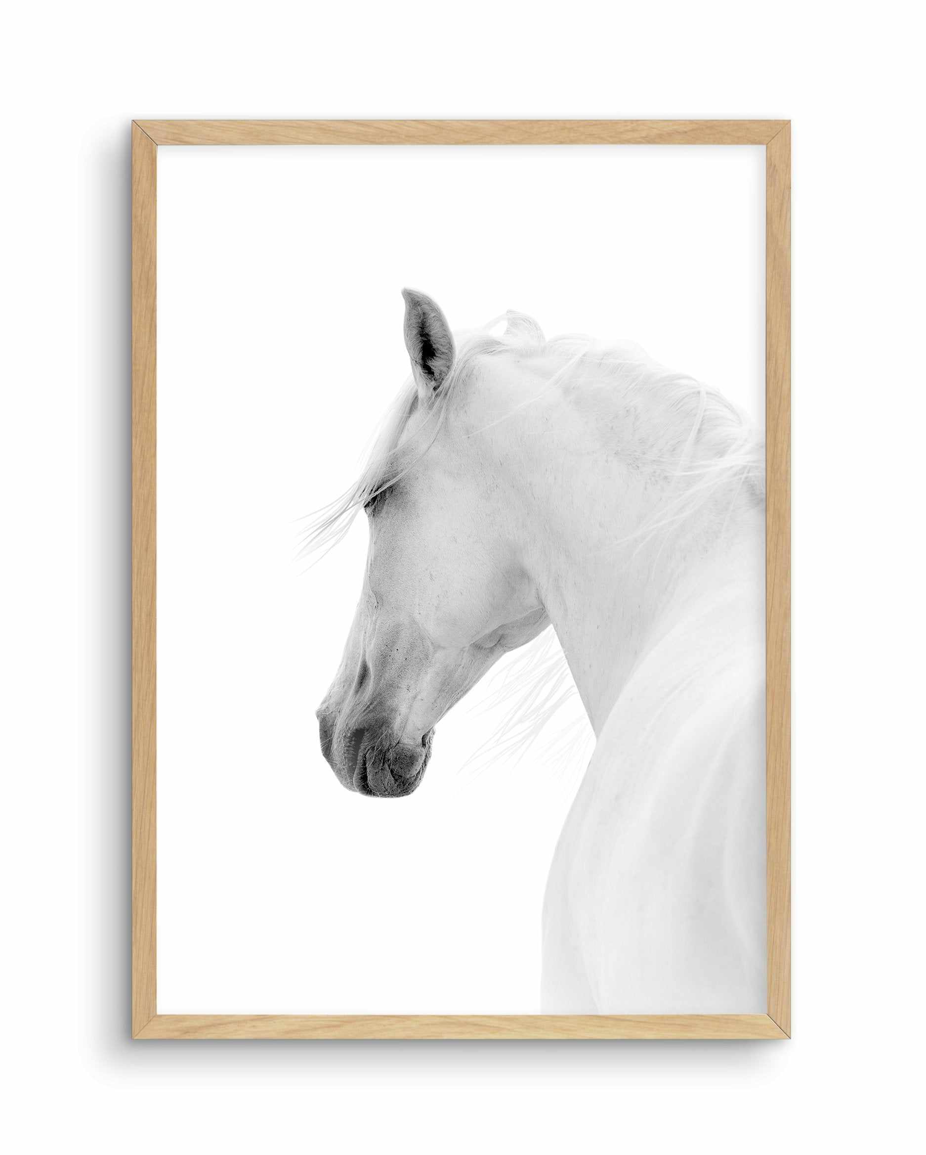 Cheval de L'esprit Art Print-PRINT-Olive et Oriel-Olive et Oriel-A5 | 5.8" x 8.3" | 14.8 x 21cm-Oak-With White Border-Buy-Australian-Art-Prints-Online-with-Olive-et-Oriel-Your-Artwork-Specialists-Austrailia-Decorate-With-Coastal-Photo-Wall-Art-Prints-From-Our-Beach-House-Artwork-Collection-Fine-Poster-and-Framed-Artwork