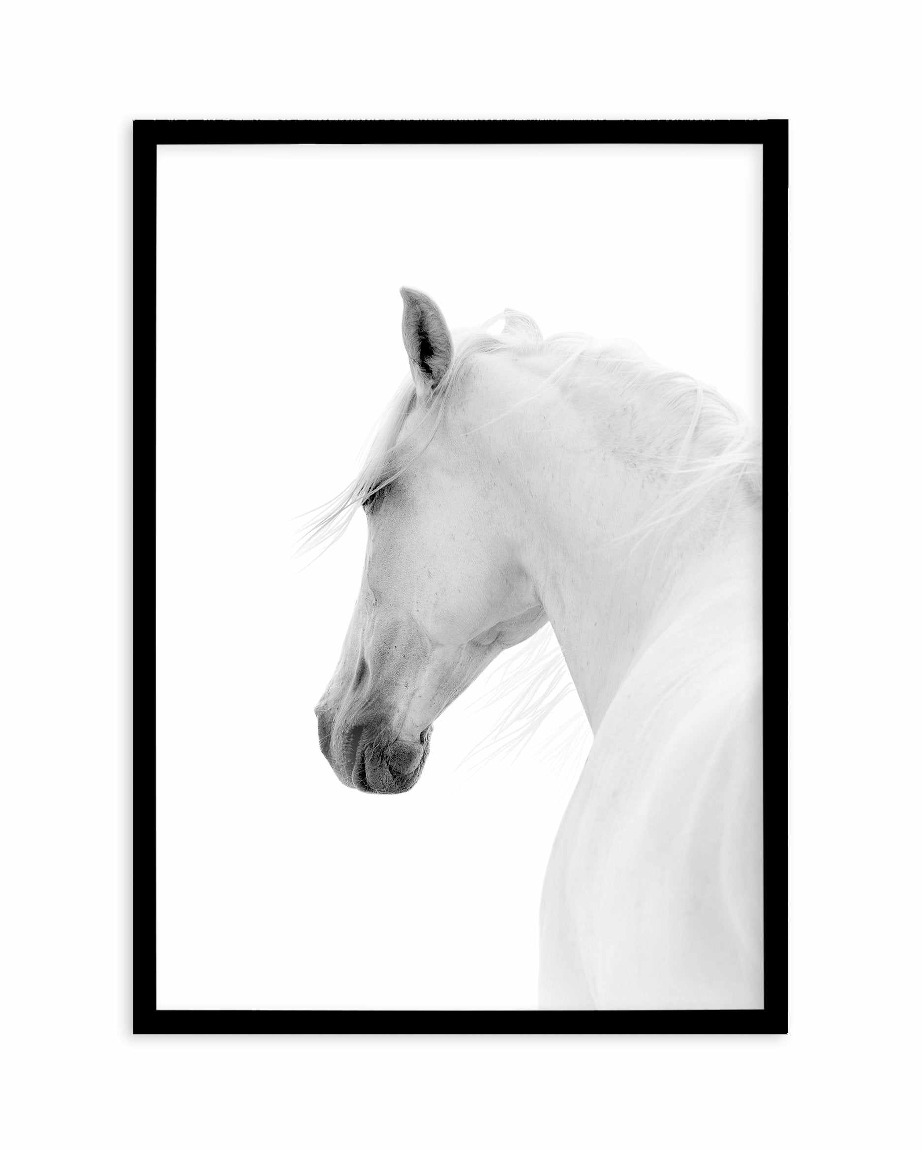 Cheval de L'esprit Art Print-PRINT-Olive et Oriel-Olive et Oriel-A5 | 5.8" x 8.3" | 14.8 x 21cm-Black-With White Border-Buy-Australian-Art-Prints-Online-with-Olive-et-Oriel-Your-Artwork-Specialists-Austrailia-Decorate-With-Coastal-Photo-Wall-Art-Prints-From-Our-Beach-House-Artwork-Collection-Fine-Poster-and-Framed-Artwork