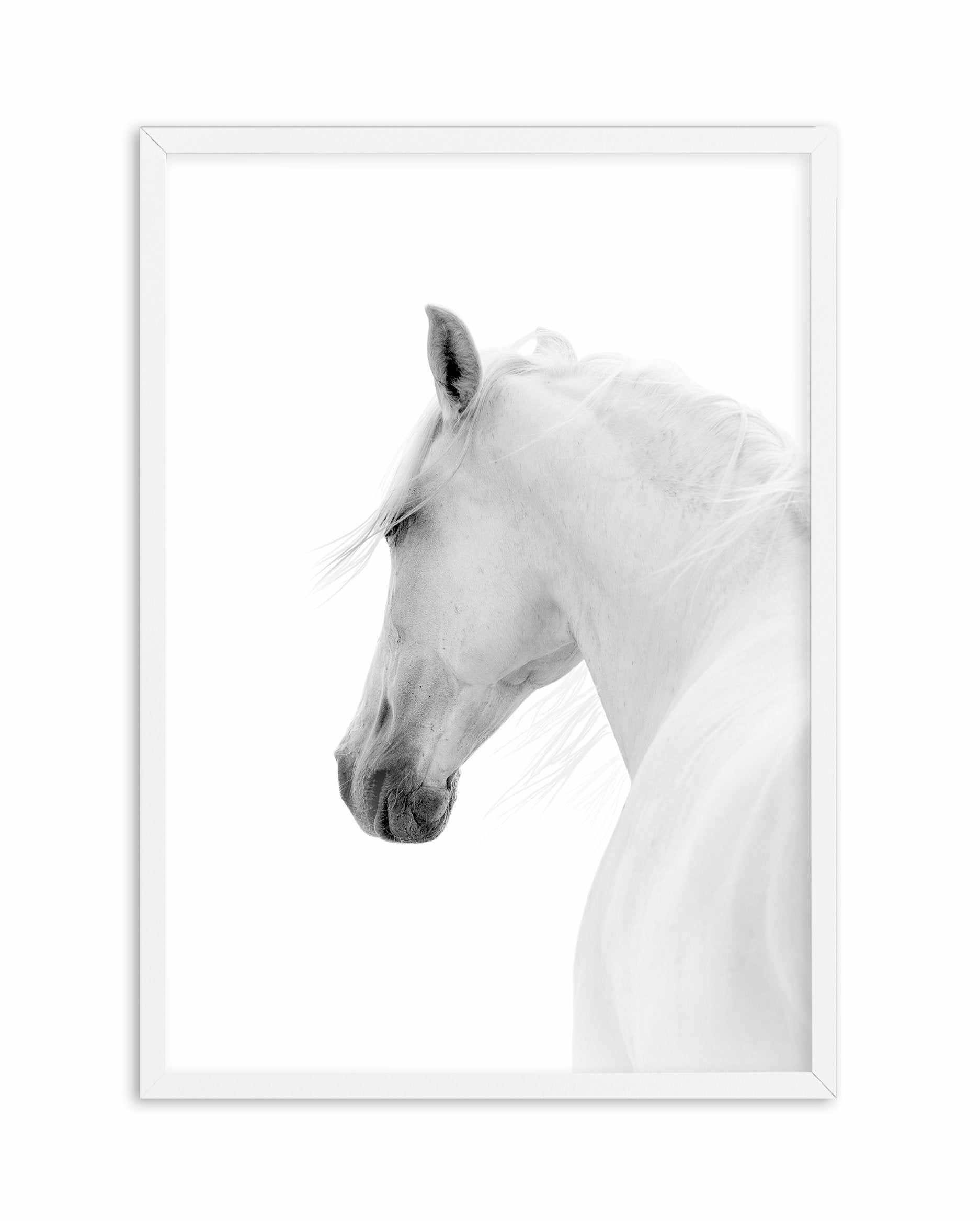 Cheval de L'esprit Art Print-PRINT-Olive et Oriel-Olive et Oriel-A5 | 5.8" x 8.3" | 14.8 x 21cm-White-With White Border-Buy-Australian-Art-Prints-Online-with-Olive-et-Oriel-Your-Artwork-Specialists-Austrailia-Decorate-With-Coastal-Photo-Wall-Art-Prints-From-Our-Beach-House-Artwork-Collection-Fine-Poster-and-Framed-Artwork