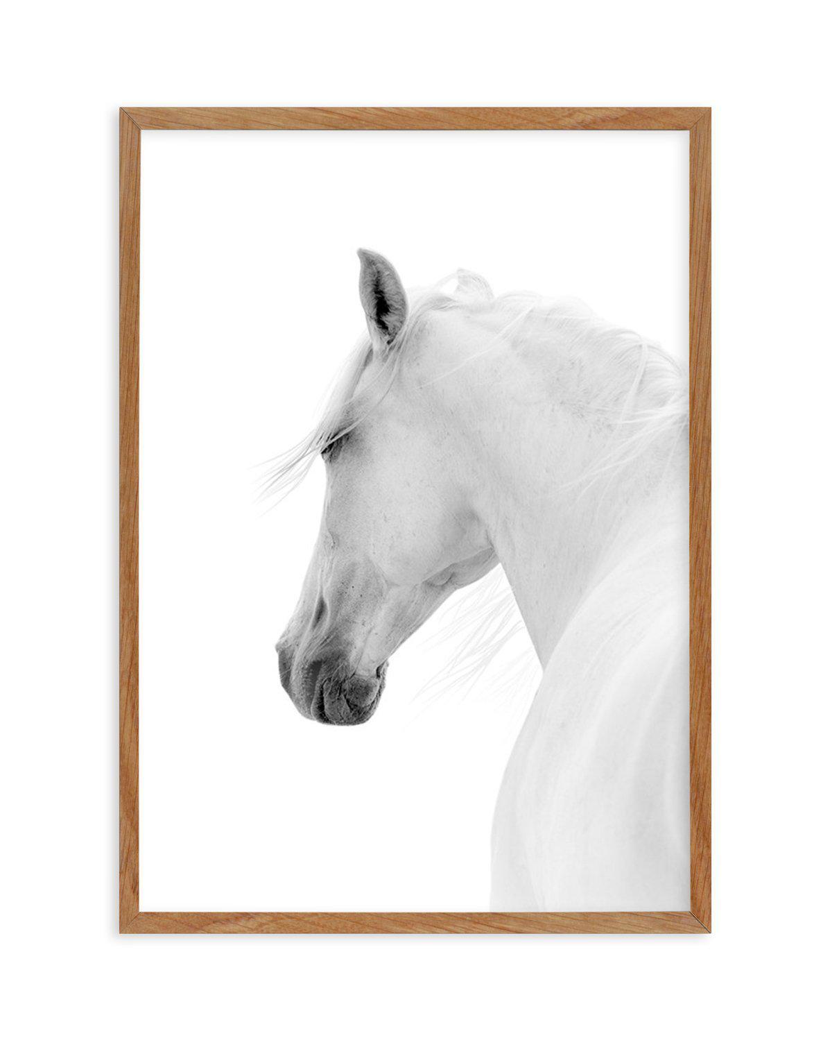 Cheval de L'esprit Art Print-PRINT-Olive et Oriel-Olive et Oriel-50x70 cm | 19.6" x 27.5"-Walnut-With White Border-Buy-Australian-Art-Prints-Online-with-Olive-et-Oriel-Your-Artwork-Specialists-Austrailia-Decorate-With-Coastal-Photo-Wall-Art-Prints-From-Our-Beach-House-Artwork-Collection-Fine-Poster-and-Framed-Artwork