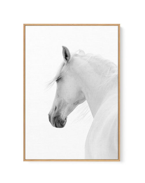 Cheval de L'esprit | Framed Canvas-CANVAS-You can shop wall art online with Olive et Oriel for everything from abstract art to fun kids wall art. Our beautiful modern art prints and canvas art are available from large canvas prints to wall art paintings and our proudly Australian artwork collection offers only the highest quality framed large wall art and canvas art Australia - You can buy fashion photography prints or Hampton print posters and paintings on canvas from Olive et Oriel and have th