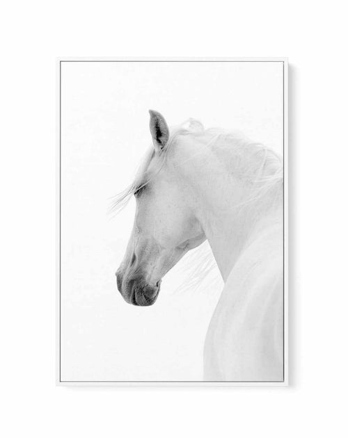 Cheval de L'esprit | Framed Canvas-CANVAS-You can shop wall art online with Olive et Oriel for everything from abstract art to fun kids wall art. Our beautiful modern art prints and canvas art are available from large canvas prints to wall art paintings and our proudly Australian artwork collection offers only the highest quality framed large wall art and canvas art Australia - You can buy fashion photography prints or Hampton print posters and paintings on canvas from Olive et Oriel and have th