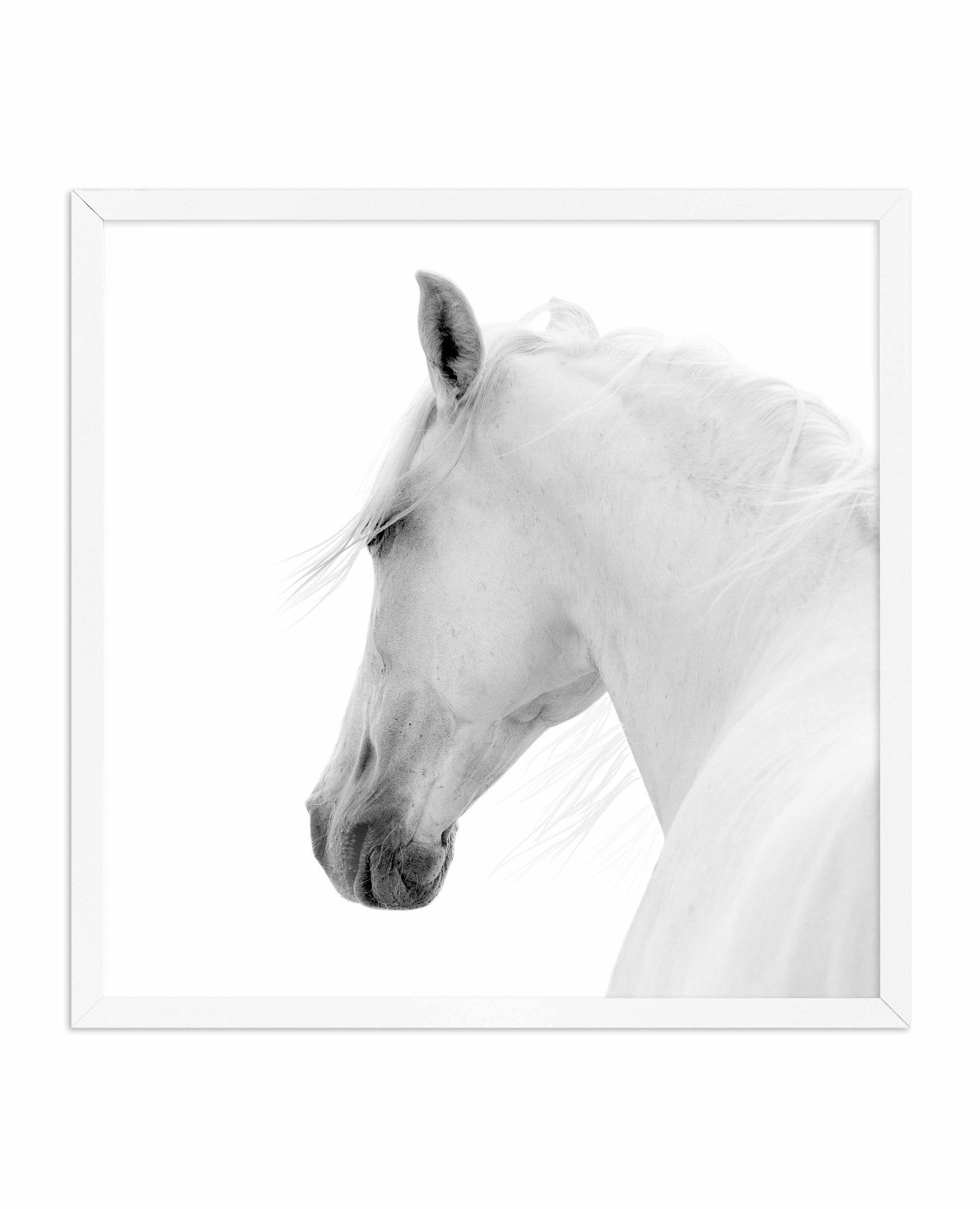 Cheval de L'esprit | SQ Art Print-PRINT-Olive et Oriel-Olive et Oriel-70x70 cm | 27.5" x 27.5"-White-With White Border-Buy-Australian-Art-Prints-Online-with-Olive-et-Oriel-Your-Artwork-Specialists-Austrailia-Decorate-With-Coastal-Photo-Wall-Art-Prints-From-Our-Beach-House-Artwork-Collection-Fine-Poster-and-Framed-Artwork