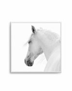 Cheval de L'esprit | SQ Art Print-PRINT-Olive et Oriel-Olive et Oriel-Buy-Australian-Art-Prints-Online-with-Olive-et-Oriel-Your-Artwork-Specialists-Austrailia-Decorate-With-Coastal-Photo-Wall-Art-Prints-From-Our-Beach-House-Artwork-Collection-Fine-Poster-and-Framed-Artwork