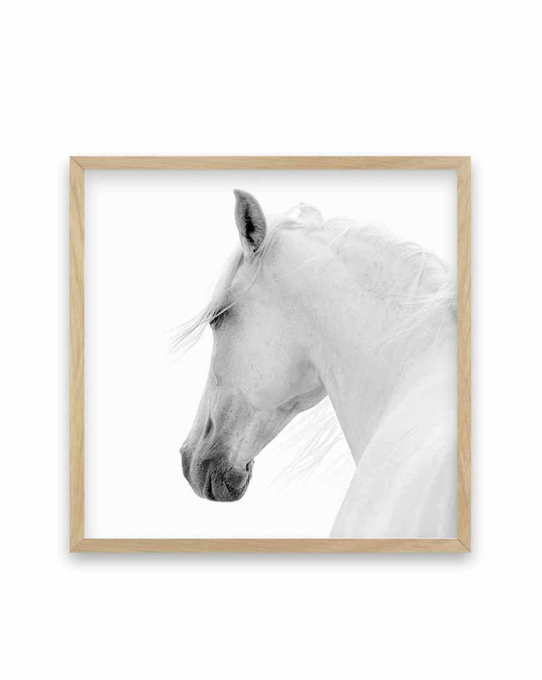 Cheval de L'esprit | SQ Art Print-PRINT-Olive et Oriel-Olive et Oriel-70x70 cm | 27.5" x 27.5"-Oak-With White Border-Buy-Australian-Art-Prints-Online-with-Olive-et-Oriel-Your-Artwork-Specialists-Austrailia-Decorate-With-Coastal-Photo-Wall-Art-Prints-From-Our-Beach-House-Artwork-Collection-Fine-Poster-and-Framed-Artwork