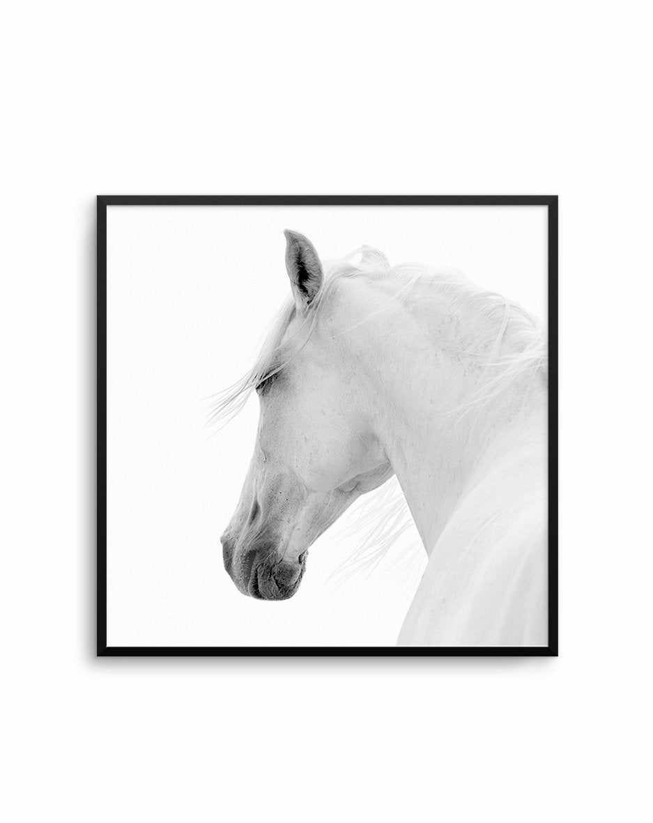 Cheval de L'esprit | SQ Art Print-PRINT-Olive et Oriel-Olive et Oriel-70x70 cm | 27.5" x 27.5"-Black-With White Border-Buy-Australian-Art-Prints-Online-with-Olive-et-Oriel-Your-Artwork-Specialists-Austrailia-Decorate-With-Coastal-Photo-Wall-Art-Prints-From-Our-Beach-House-Artwork-Collection-Fine-Poster-and-Framed-Artwork