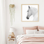 Cheval de L'esprit | SQ Art Print-PRINT-Olive et Oriel-Olive et Oriel-Buy-Australian-Art-Prints-Online-with-Olive-et-Oriel-Your-Artwork-Specialists-Austrailia-Decorate-With-Coastal-Photo-Wall-Art-Prints-From-Our-Beach-House-Artwork-Collection-Fine-Poster-and-Framed-Artwork