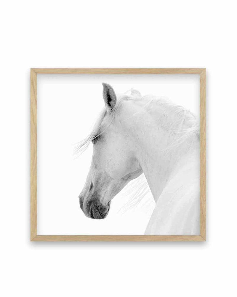 Cheval de L'esprit SQ | Framed Canvas-CANVAS-You can shop wall art online with Olive et Oriel for everything from abstract art to fun kids wall art. Our beautiful modern art prints and canvas art are available from large canvas prints to wall art paintings and our proudly Australian artwork collection offers only the highest quality framed large wall art and canvas art Australia - You can buy fashion photography prints or Hampton print posters and paintings on canvas from Olive et Oriel and have