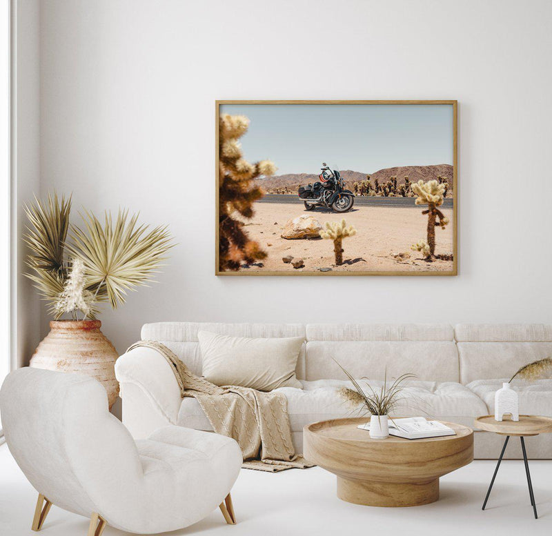 Cholla Garden By Tim Harris Art Print-PRINT-Olive et Oriel-Tim Harris-Buy-Australian-Art-Prints-Online-with-Olive-et-Oriel-Your-Artwork-Specialists-Austrailia-Decorate-With-Coastal-Photo-Wall-Art-Prints-From-Our-Beach-House-Artwork-Collection-Fine-Poster-and-Framed-Artwork