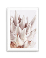 Closer Please | King Protea Art Print-PRINT-Olive et Oriel-Olive et Oriel-A4 | 8.3" x 11.7" | 21 x 29.7cm-White-With White Border-Buy-Australian-Art-Prints-Online-with-Olive-et-Oriel-Your-Artwork-Specialists-Austrailia-Decorate-With-Coastal-Photo-Wall-Art-Prints-From-Our-Beach-House-Artwork-Collection-Fine-Poster-and-Framed-Artwork