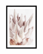 Closer Please | King Protea Art Print-PRINT-Olive et Oriel-Olive et Oriel-A4 | 8.3" x 11.7" | 21 x 29.7cm-Black-With White Border-Buy-Australian-Art-Prints-Online-with-Olive-et-Oriel-Your-Artwork-Specialists-Austrailia-Decorate-With-Coastal-Photo-Wall-Art-Prints-From-Our-Beach-House-Artwork-Collection-Fine-Poster-and-Framed-Artwork