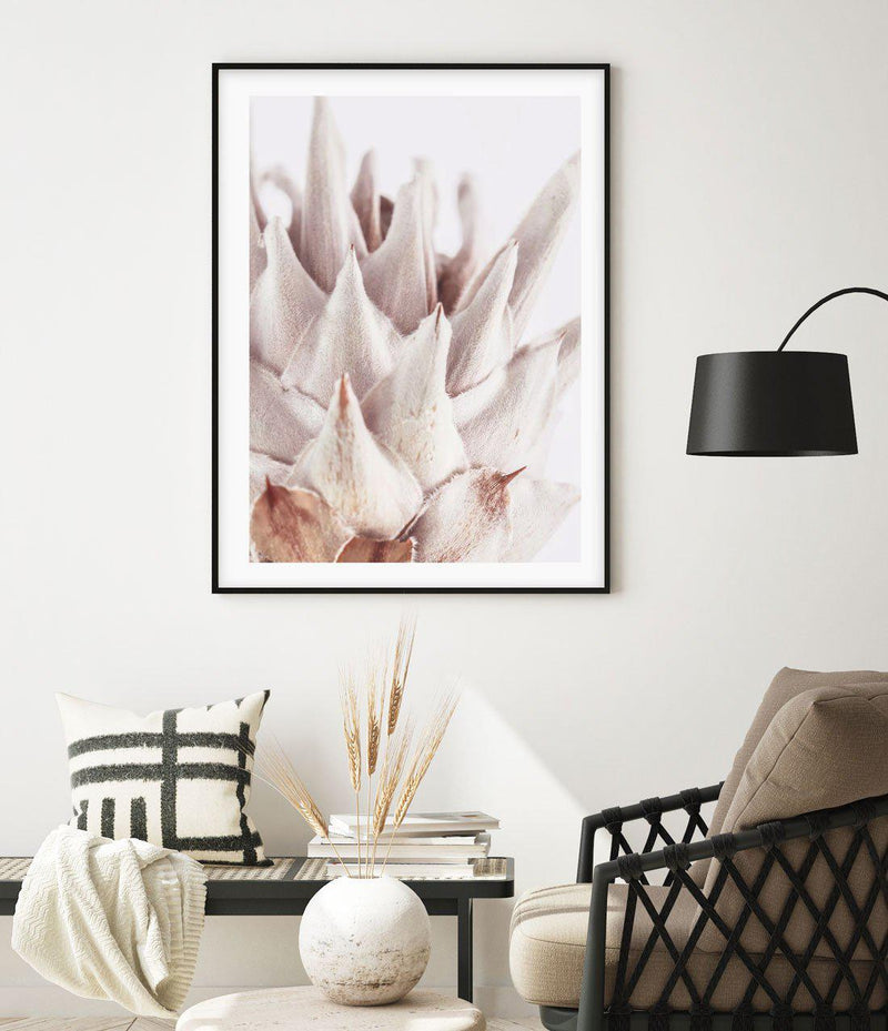 Closer Please | King Protea Art Print-PRINT-Olive et Oriel-Olive et Oriel-Buy-Australian-Art-Prints-Online-with-Olive-et-Oriel-Your-Artwork-Specialists-Austrailia-Decorate-With-Coastal-Photo-Wall-Art-Prints-From-Our-Beach-House-Artwork-Collection-Fine-Poster-and-Framed-Artwork