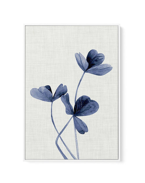 Clover | Navy | Framed Canvas-CANVAS-You can shop wall art online with Olive et Oriel for everything from abstract art to fun kids wall art. Our beautiful modern art prints and canvas art are available from large canvas prints to wall art paintings and our proudly Australian artwork collection offers only the highest quality framed large wall art and canvas art Australia - You can buy fashion photography prints or Hampton print posters and paintings on canvas from Olive et Oriel and have them de