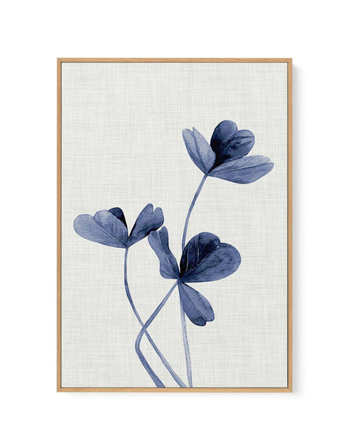 Clover | Navy | Framed Canvas-CANVAS-You can shop wall art online with Olive et Oriel for everything from abstract art to fun kids wall art. Our beautiful modern art prints and canvas art are available from large canvas prints to wall art paintings and our proudly Australian artwork collection offers only the highest quality framed large wall art and canvas art Australia - You can buy fashion photography prints or Hampton print posters and paintings on canvas from Olive et Oriel and have them de