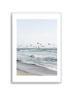 Coastal Birds Art Print-PRINT-Olive et Oriel-Olive et Oriel-A5 | 5.8" x 8.3" | 14.8 x 21cm-Unframed Art Print-With White Border-Buy-Australian-Art-Prints-Online-with-Olive-et-Oriel-Your-Artwork-Specialists-Austrailia-Decorate-With-Coastal-Photo-Wall-Art-Prints-From-Our-Beach-House-Artwork-Collection-Fine-Poster-and-Framed-Artwork