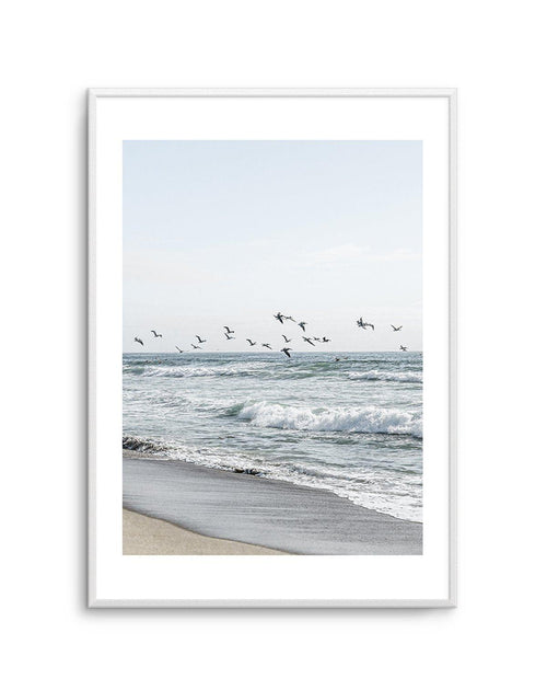 Coastal Birds Art Print-PRINT-Olive et Oriel-Olive et Oriel-A5 | 5.8" x 8.3" | 14.8 x 21cm-Unframed Art Print-With White Border-Buy-Australian-Art-Prints-Online-with-Olive-et-Oriel-Your-Artwork-Specialists-Austrailia-Decorate-With-Coastal-Photo-Wall-Art-Prints-From-Our-Beach-House-Artwork-Collection-Fine-Poster-and-Framed-Artwork