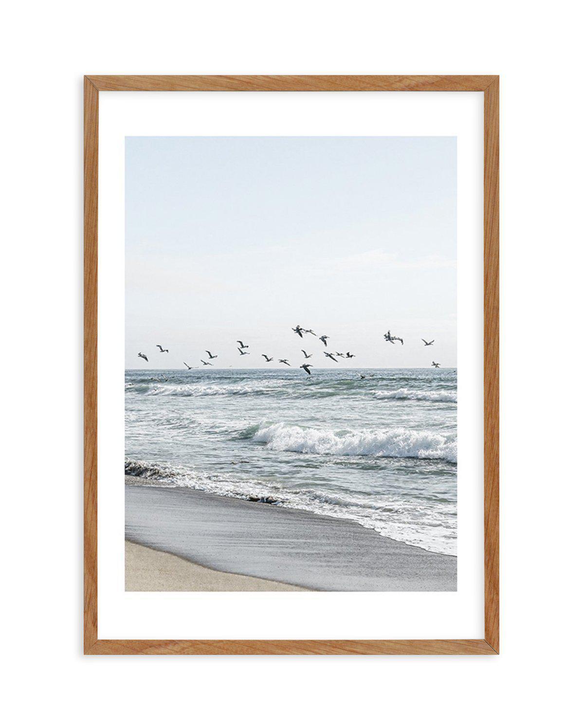 Coastal Birds Art Print-PRINT-Olive et Oriel-Olive et Oriel-50x70 cm | 19.6" x 27.5"-Walnut-With White Border-Buy-Australian-Art-Prints-Online-with-Olive-et-Oriel-Your-Artwork-Specialists-Austrailia-Decorate-With-Coastal-Photo-Wall-Art-Prints-From-Our-Beach-House-Artwork-Collection-Fine-Poster-and-Framed-Artwork