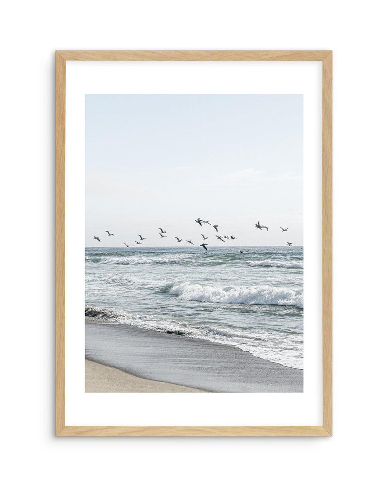 Coastal Birds Art Print-PRINT-Olive et Oriel-Olive et Oriel-A5 | 5.8" x 8.3" | 14.8 x 21cm-Oak-With White Border-Buy-Australian-Art-Prints-Online-with-Olive-et-Oriel-Your-Artwork-Specialists-Austrailia-Decorate-With-Coastal-Photo-Wall-Art-Prints-From-Our-Beach-House-Artwork-Collection-Fine-Poster-and-Framed-Artwork