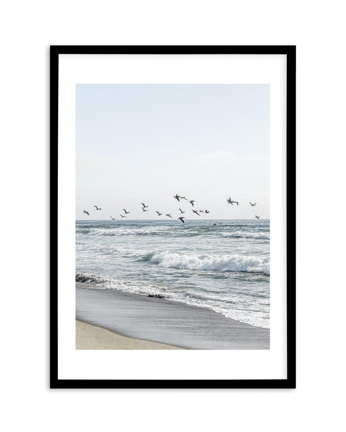 Coastal Birds Art Print-PRINT-Olive et Oriel-Olive et Oriel-A5 | 5.8" x 8.3" | 14.8 x 21cm-Black-With White Border-Buy-Australian-Art-Prints-Online-with-Olive-et-Oriel-Your-Artwork-Specialists-Austrailia-Decorate-With-Coastal-Photo-Wall-Art-Prints-From-Our-Beach-House-Artwork-Collection-Fine-Poster-and-Framed-Artwork