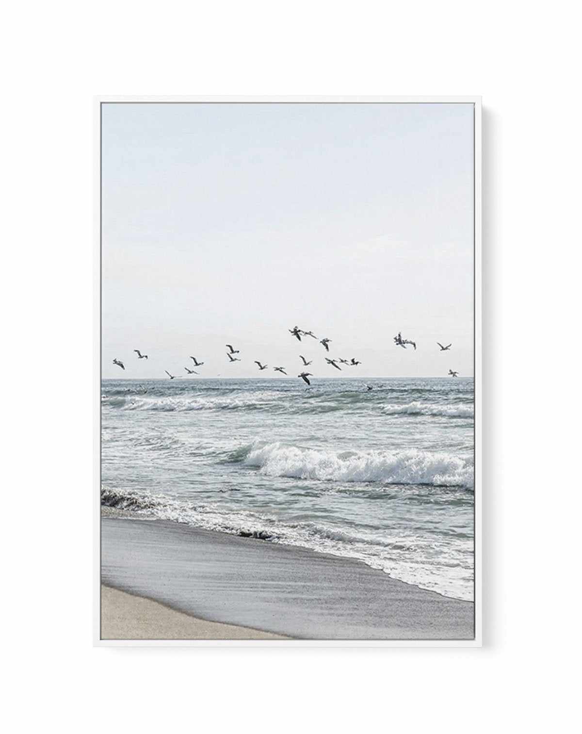 Coastal Birds | Framed Canvas-CANVAS-You can shop wall art online with Olive et Oriel for everything from abstract art to fun kids wall art. Our beautiful modern art prints and canvas art are available from large canvas prints to wall art paintings and our proudly Australian artwork collection offers only the highest quality framed large wall art and canvas art Australia - You can buy fashion photography prints or Hampton print posters and paintings on canvas from Olive et Oriel and have them de