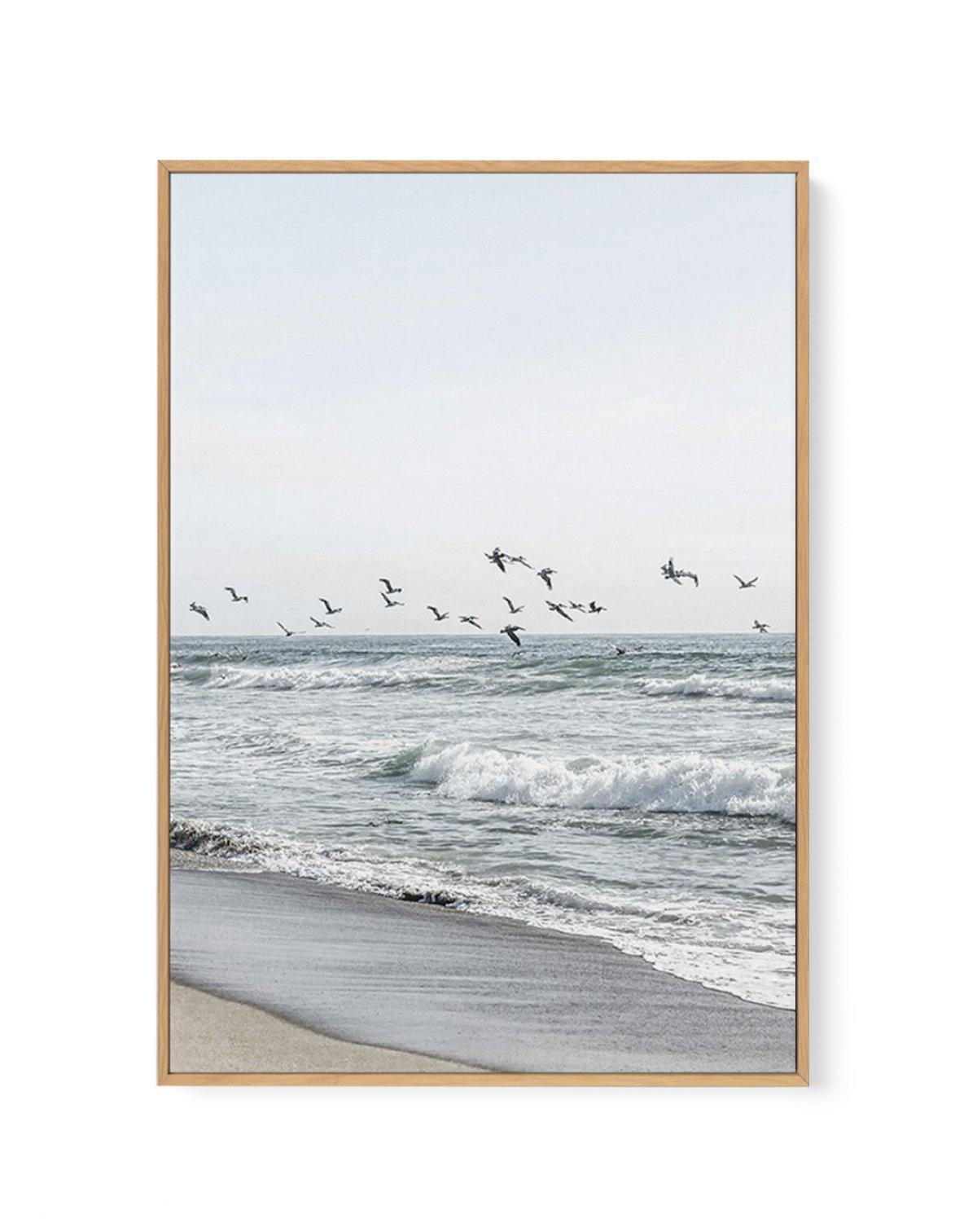 Coastal Birds | Framed Canvas-CANVAS-You can shop wall art online with Olive et Oriel for everything from abstract art to fun kids wall art. Our beautiful modern art prints and canvas art are available from large canvas prints to wall art paintings and our proudly Australian artwork collection offers only the highest quality framed large wall art and canvas art Australia - You can buy fashion photography prints or Hampton print posters and paintings on canvas from Olive et Oriel and have them de