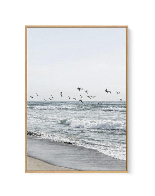Coastal Birds | Framed Canvas-CANVAS-You can shop wall art online with Olive et Oriel for everything from abstract art to fun kids wall art. Our beautiful modern art prints and canvas art are available from large canvas prints to wall art paintings and our proudly Australian artwork collection offers only the highest quality framed large wall art and canvas art Australia - You can buy fashion photography prints or Hampton print posters and paintings on canvas from Olive et Oriel and have them de